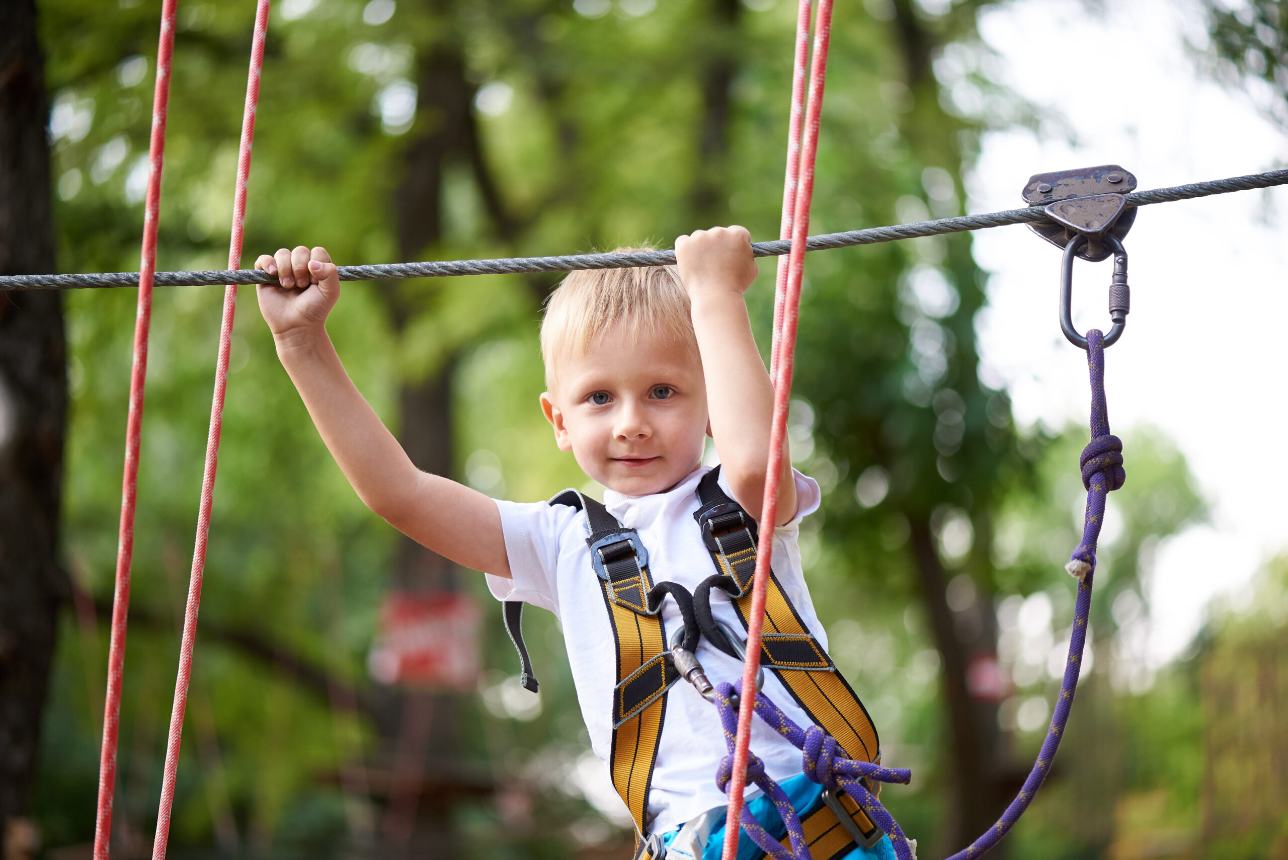Waldkletterpark Bad Neuenahr-Ahrweiler