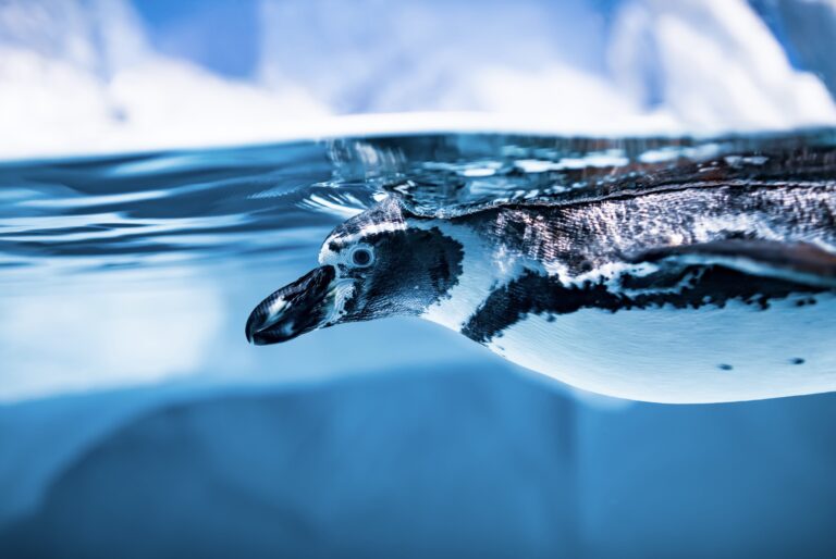 Aquazoo Düsseldorf Löbbecke Museu