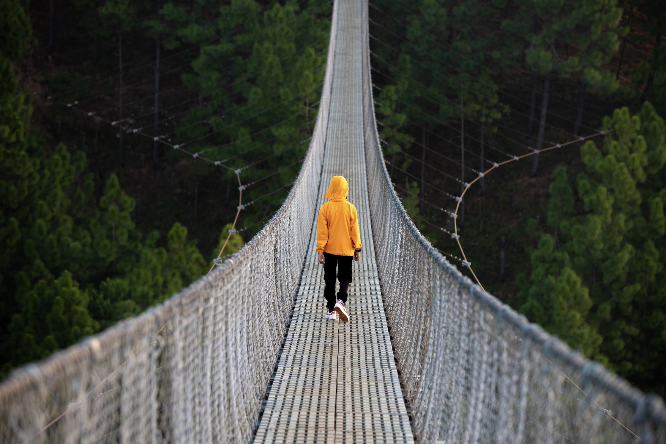 Hängeseilbrücke Geierlay
