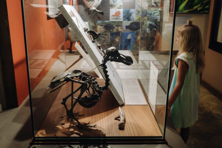 Senckenberg Naturmuseum