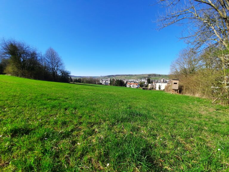 Aussichtsturm Neuenahrer Berg