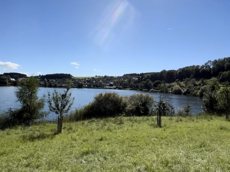 Schalkenmehrener Maar