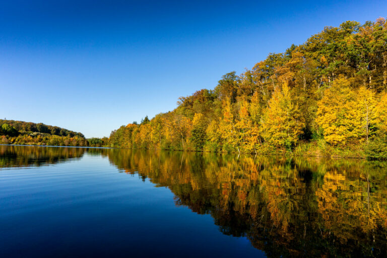 Nationalpark Eifel Schleiden