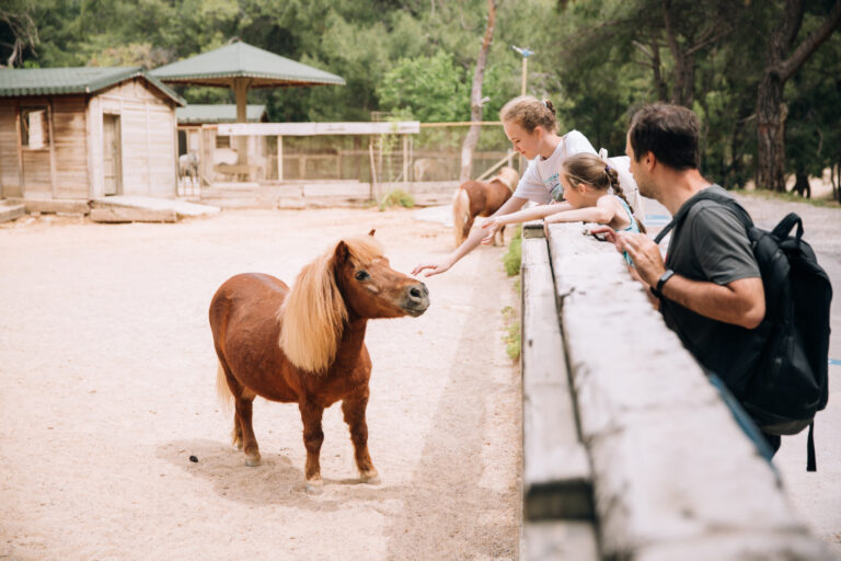 Wald- und Wildpark Rolandseck