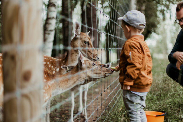 Opel Zoo Kronberg