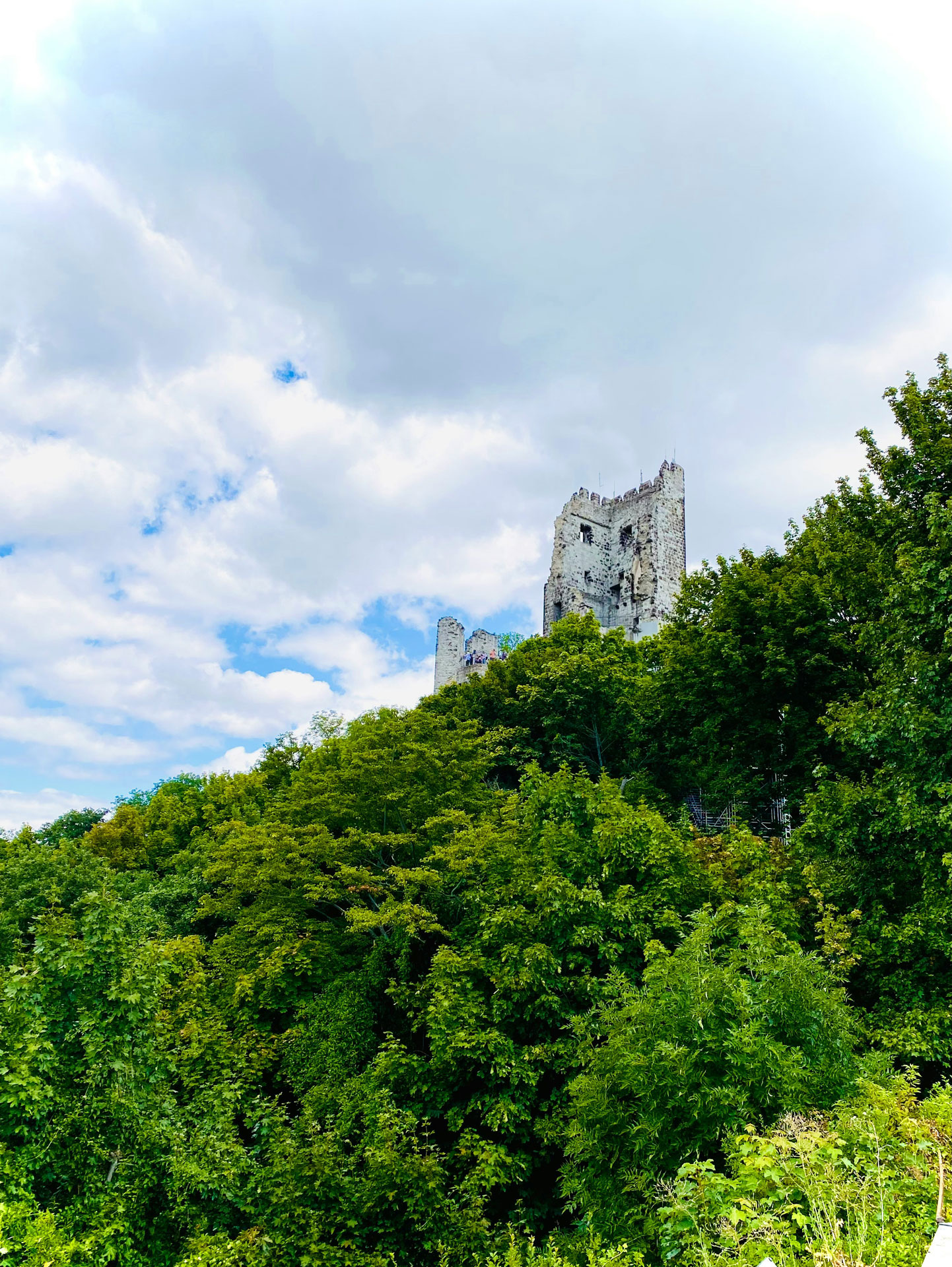 Drachenfels Königswinter
