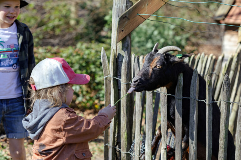 Wild- und Freizeitpark Klotten