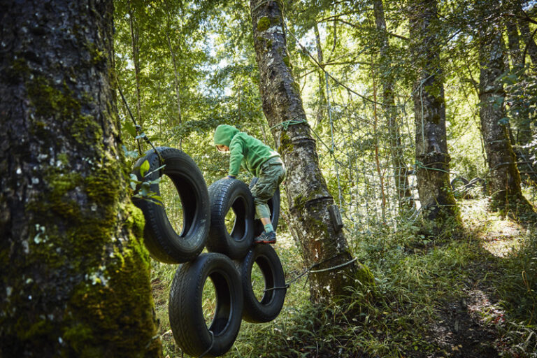 Mosel Adventure Forest