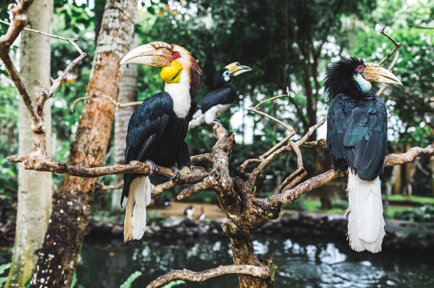 Vogelpark Viernheim