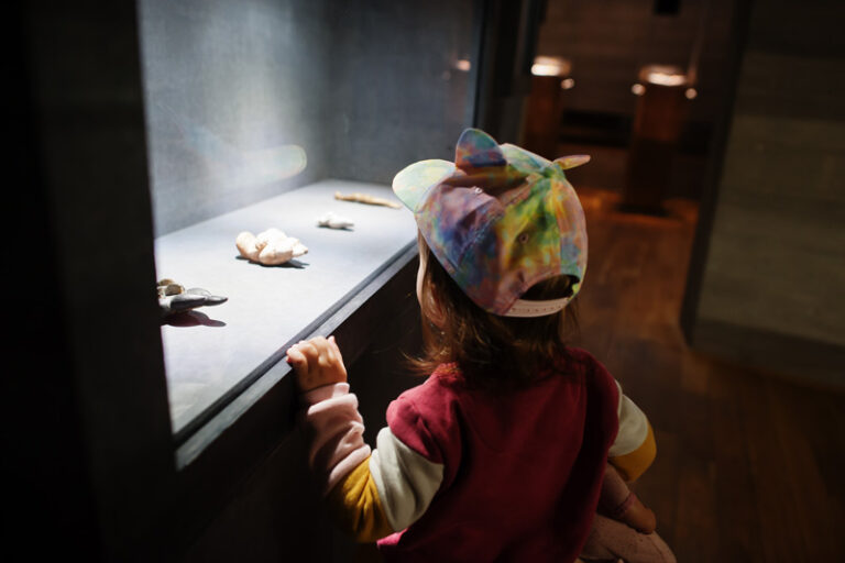 Neanderthal Museum in Mettmann