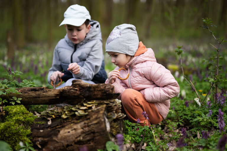 Wildpark Düsseldorf