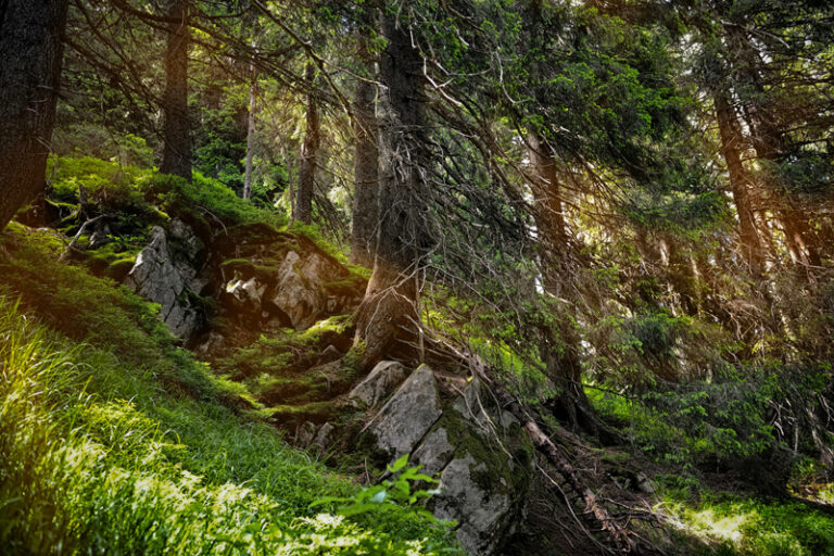 Der Große Wolfstein bei Bad Marienberg