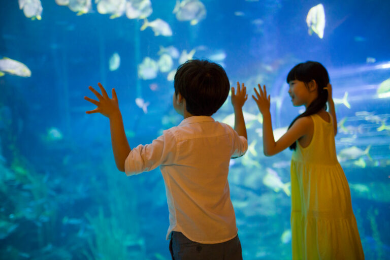 Aquarium Geomar Kiel