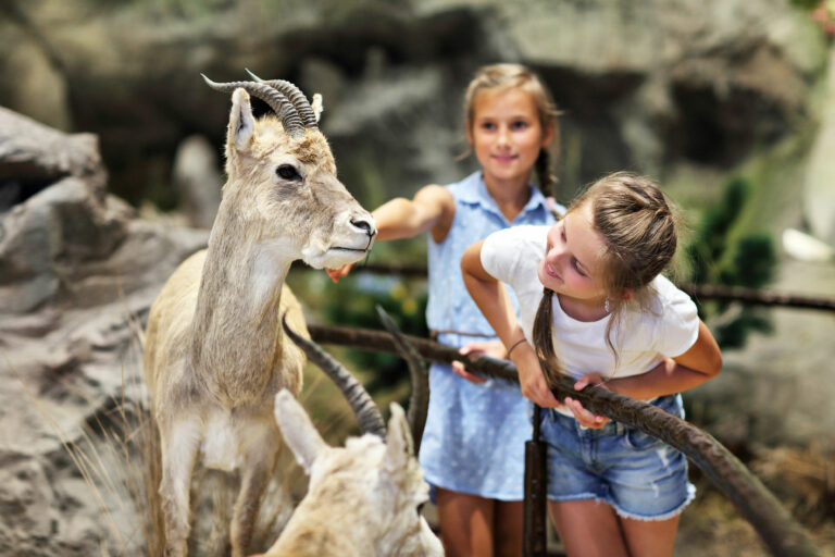 Museum der Natur Hamburg