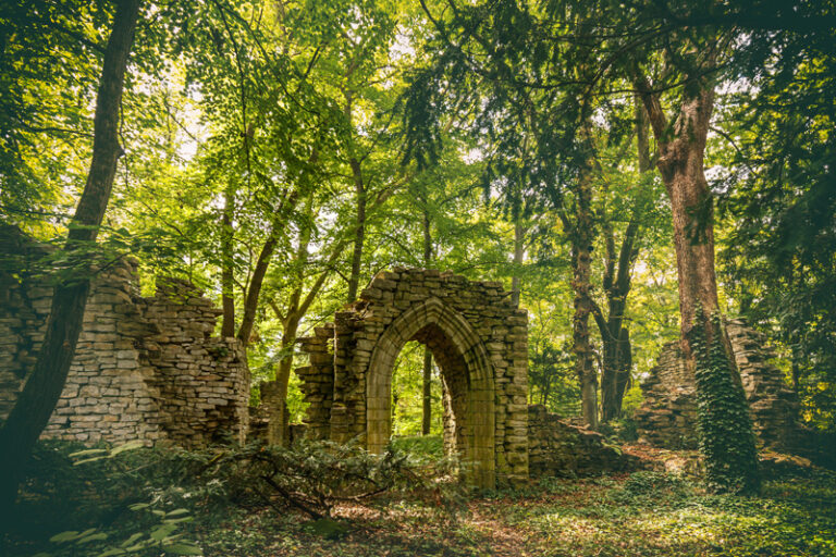 Burgruine Reichenstein in Puderbach