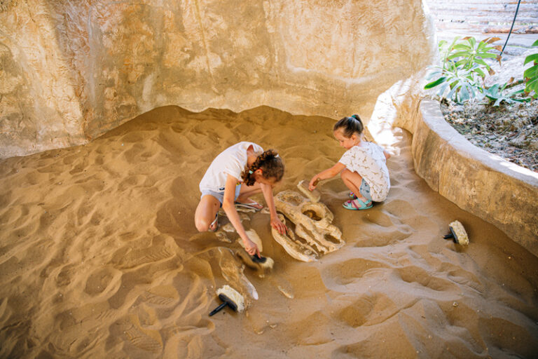 Dino Adventure Park in Weiterstadt