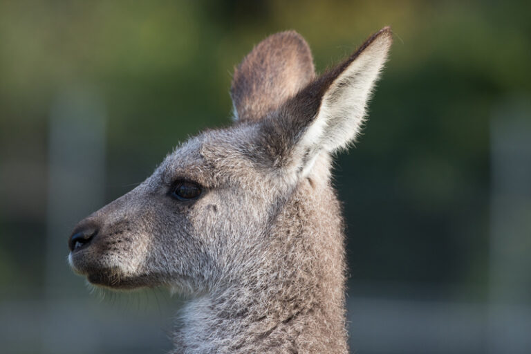 Zoo Magdeburg