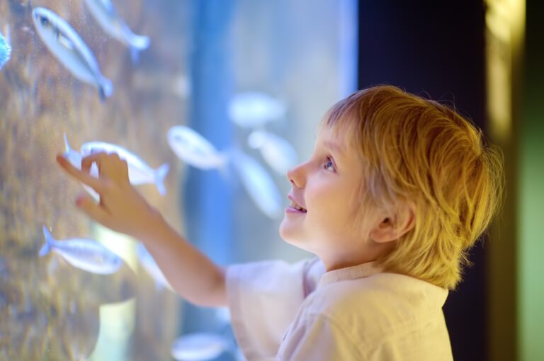 Müritzeum Waren