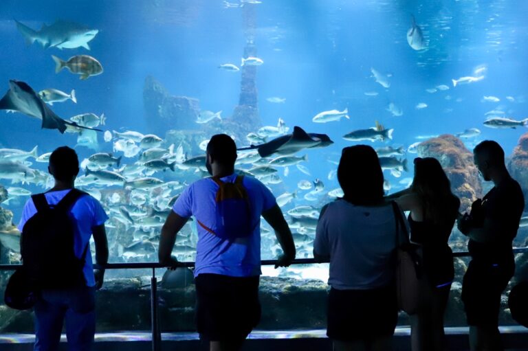 OZEANEUM Stralsund