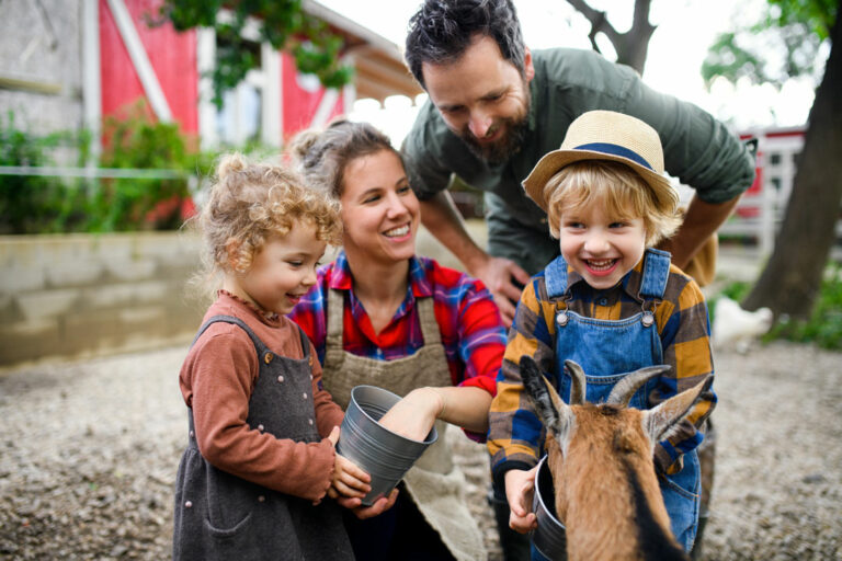 Heckelmann Familienhof Hünfelden