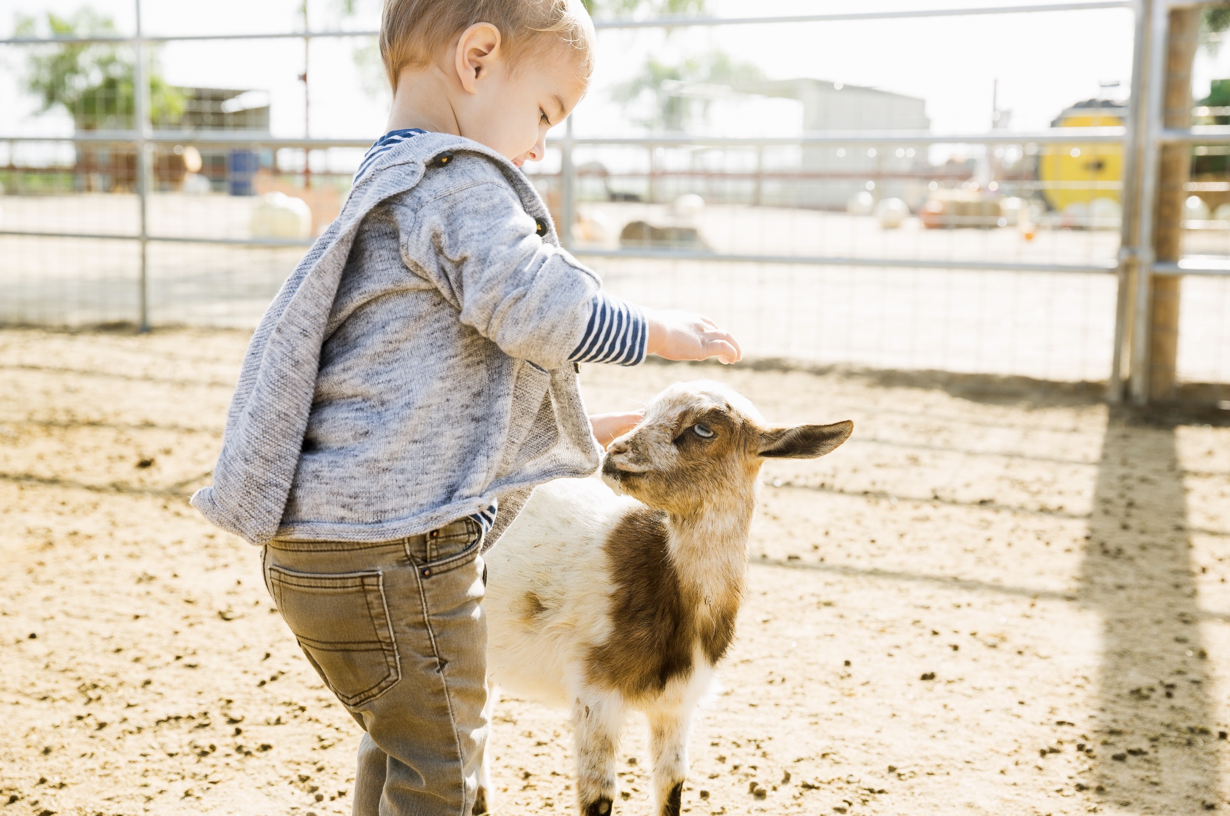 Hinterste Mühle Neubrandenburg