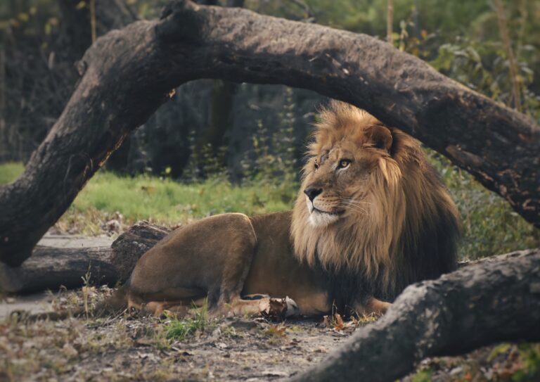 Tierpark Ueckermünde