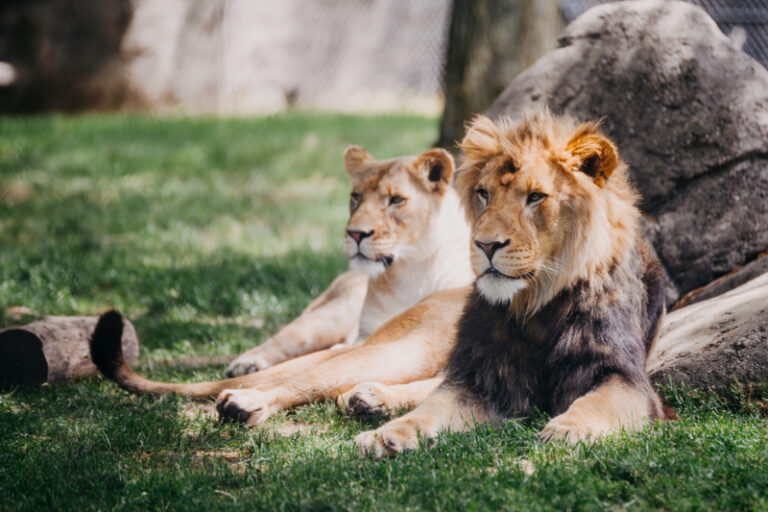 Zoo Osnabrück