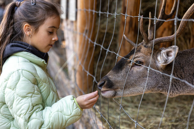 Naturschutz Tierpark Görlitz
