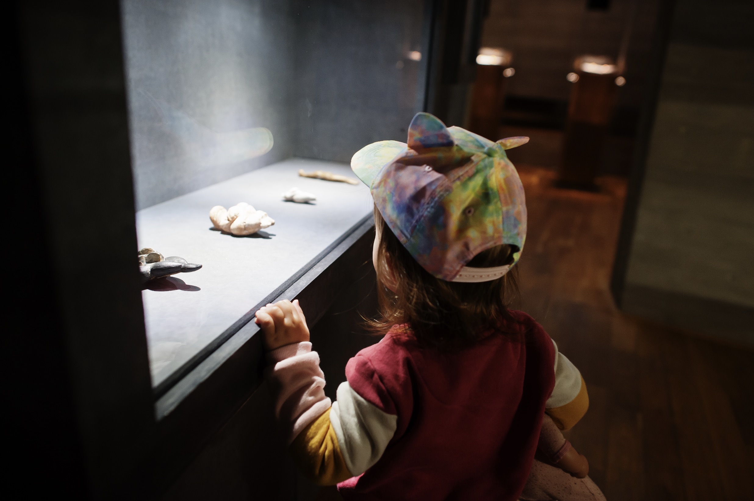 Pommersches Landesmuseum Greifswald
