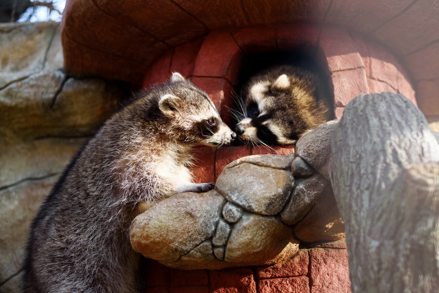 Wildpark Johannismühle Klasdorf