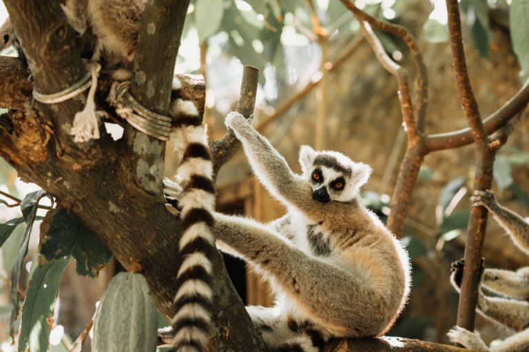 Zoo Eberswalde