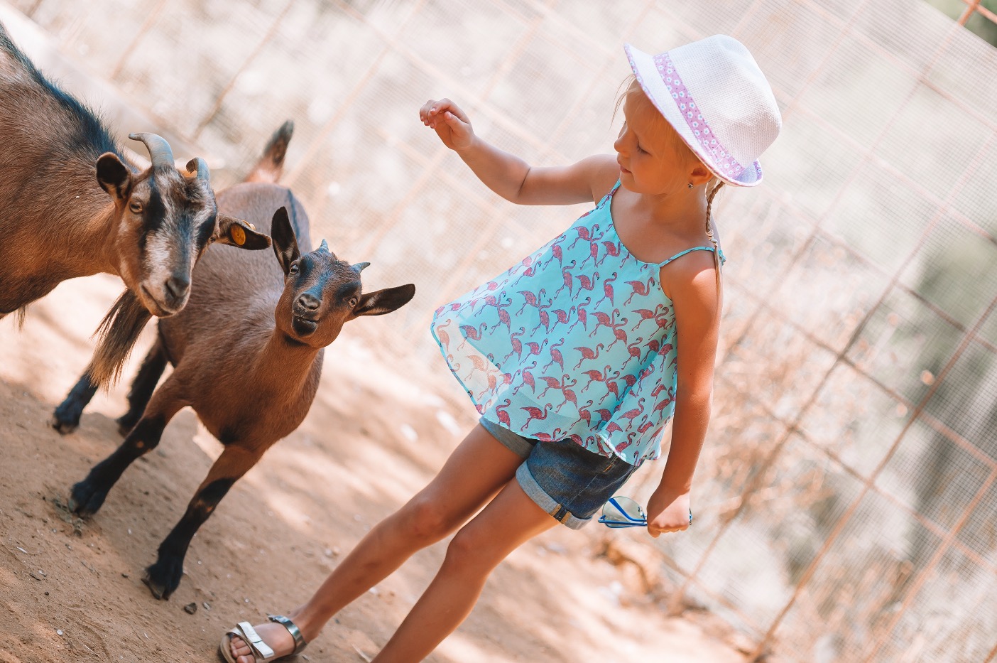 Hutewald Bad Bentheim