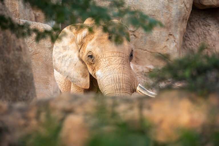 Tierpark Berlin