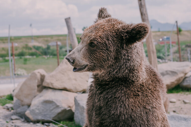 Der Grüne Zoo Wuppertal