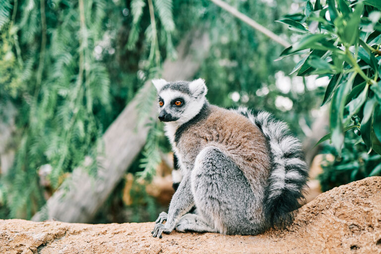 Tierpark Wittenberg