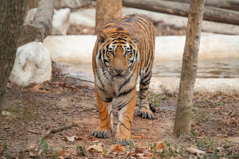 Allwetterzoo Münster