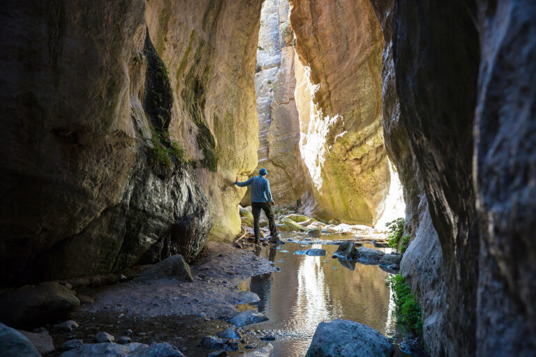 Rheinschlucht
