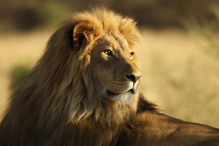 Zoo Stralsund