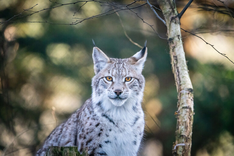 Tierpark Suhl
