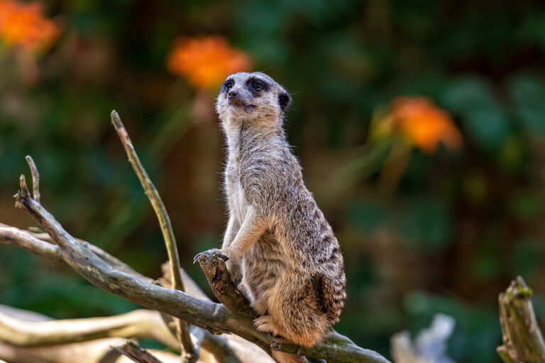 Tierpark Hamm