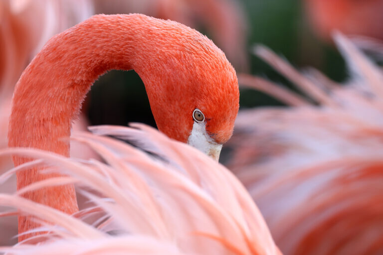Tierpark Röhrensee
