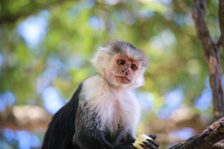 Tierpark Gera