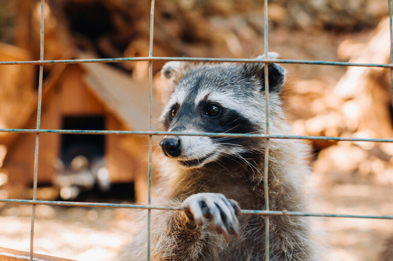 Zoo Braunschweig
