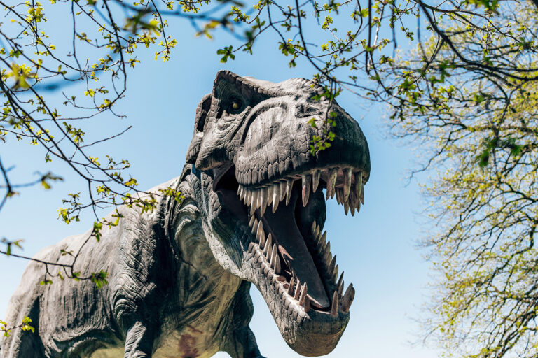 Dinosaurier-Park Münchehagen
