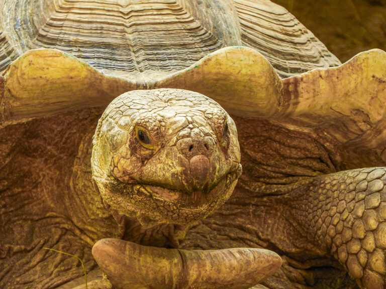 Tierpark Bad Liebenstein