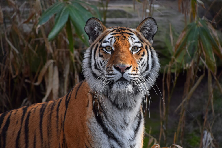 Tierpark Gotha