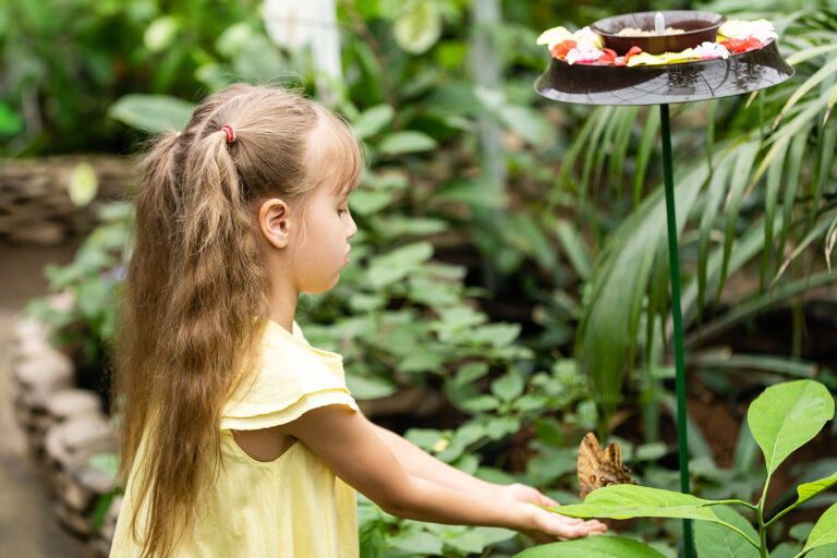 Botanischer Garten Rombergpark