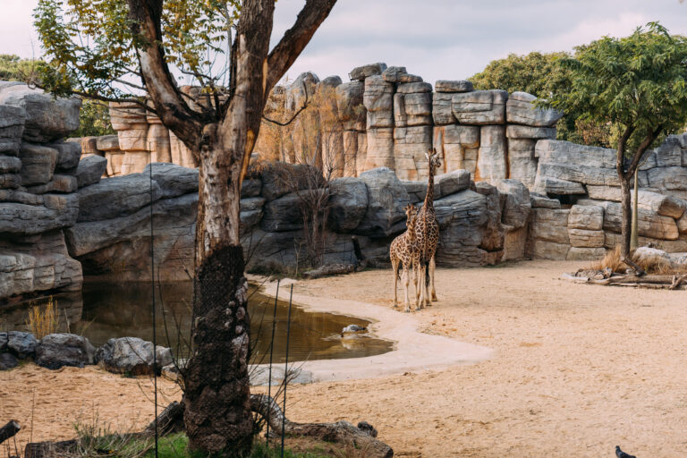 Zoo Dortmund