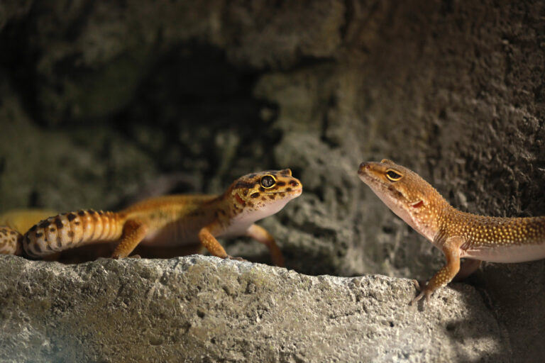 Tierpark Herborn