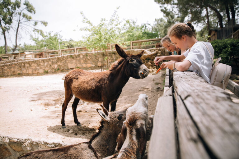 Wildpark Gersfeld